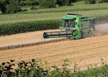 EAttachments906842665996c2fb33b8d0872e81b9c04ab4cd9 xl