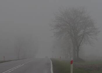 Uwaga kierowcy! Gęste mgły w jednym z powiatów 3 EAttachments906849109b0860b076f2600ed925509e0af7695 xl