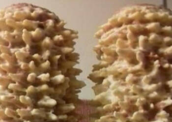 EAttachments90688341968cbcceae54b01521b887b31493b76 xl