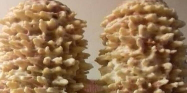 EAttachments90688341968cbcceae54b01521b887b31493b76 xl