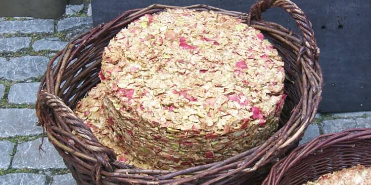 12.11.2025 Żyj zdrowo - wytłoki owocowo-warzywne 1 EAttachments906965395d3baec0119000bd9b14c44e622c695 xl