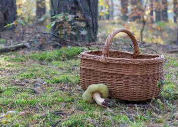 EAttachments90701030bb60c8f1f0eb08bf37ca098e3cfbc40 xl 1024x682 1