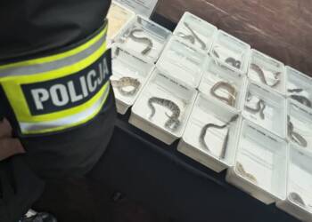 EAttachments9070178d3db3300a1e9e8f5ddf43b3aaf874740 xl 1024x921 1