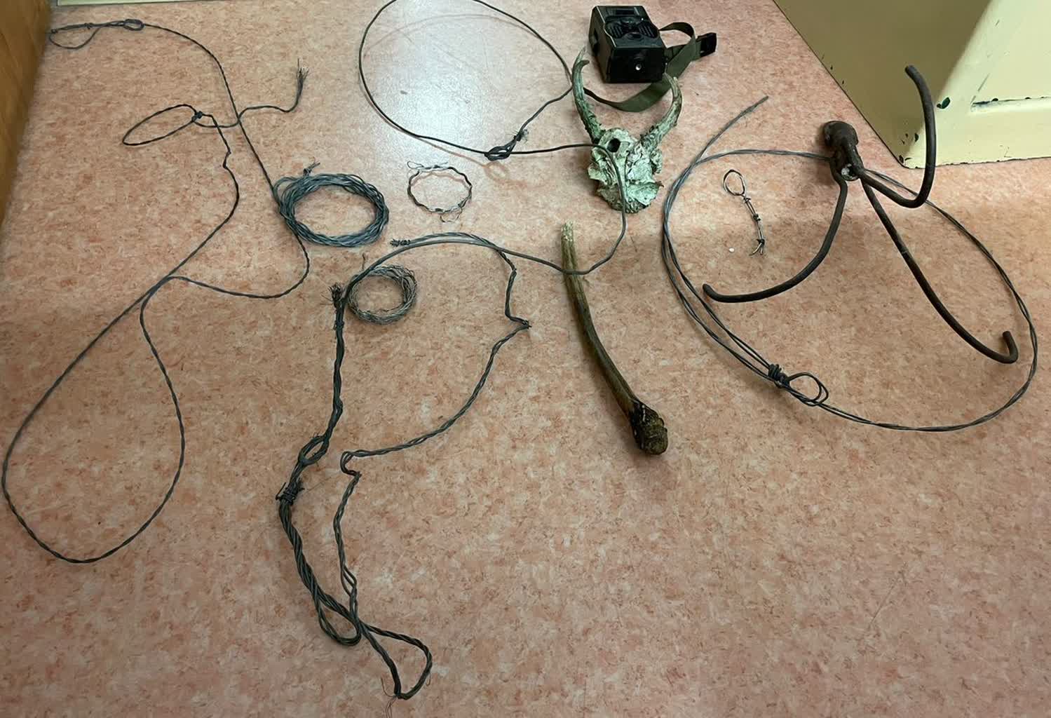 25-latek odpowie za znęcanie się nad zwierzętami i nielegalne pułapki