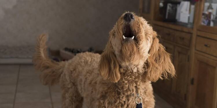 EAttachments9070370c61e324257c989d99904e93a53e1fd0f xl