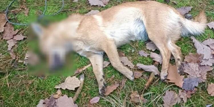 EAttachments9072979ca76127a71261c08ddaf24068418f67d xl