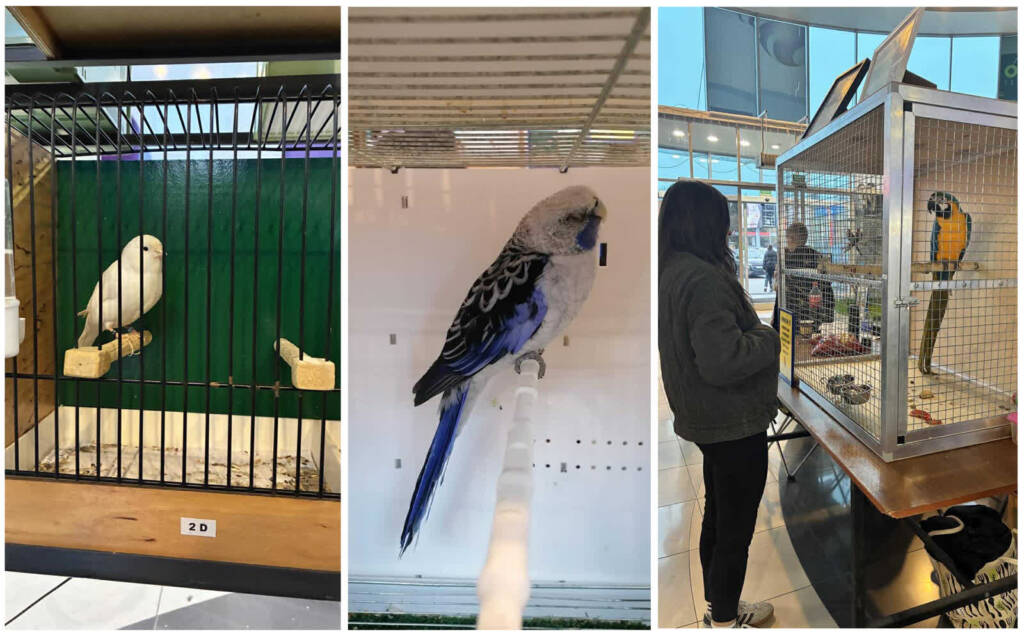 EAttachments9076791d9b6f4554ead74cebd62effb6a671a52 xl