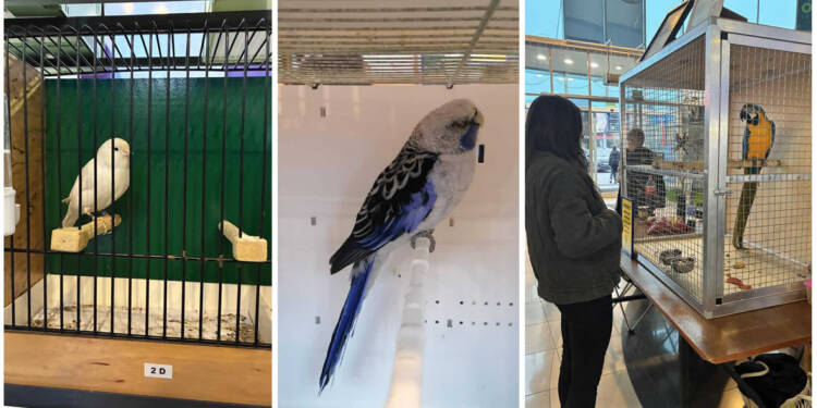 EAttachments9076791d9b6f4554ead74cebd62effb6a671a52 xl