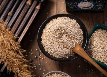 EAttachments9078926eef7d6afad60e2098a92edd785af3a90 xl