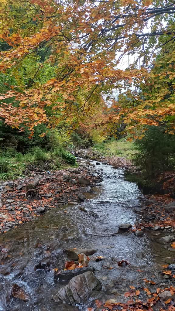 Uczniowie odkrywają leśne tajemnice. Warsztaty w Centrum Kultury 3 pexels-nna-volynec-916286400-19937739.jpg