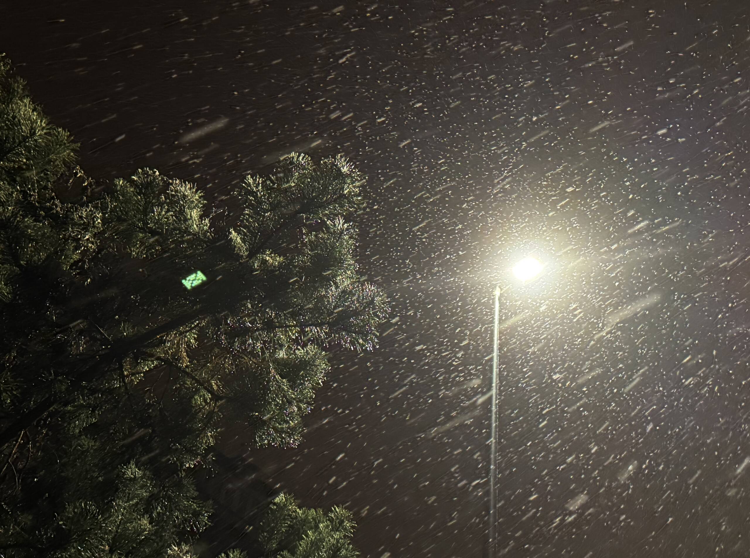 Pierwszy śnieg w Lublinie