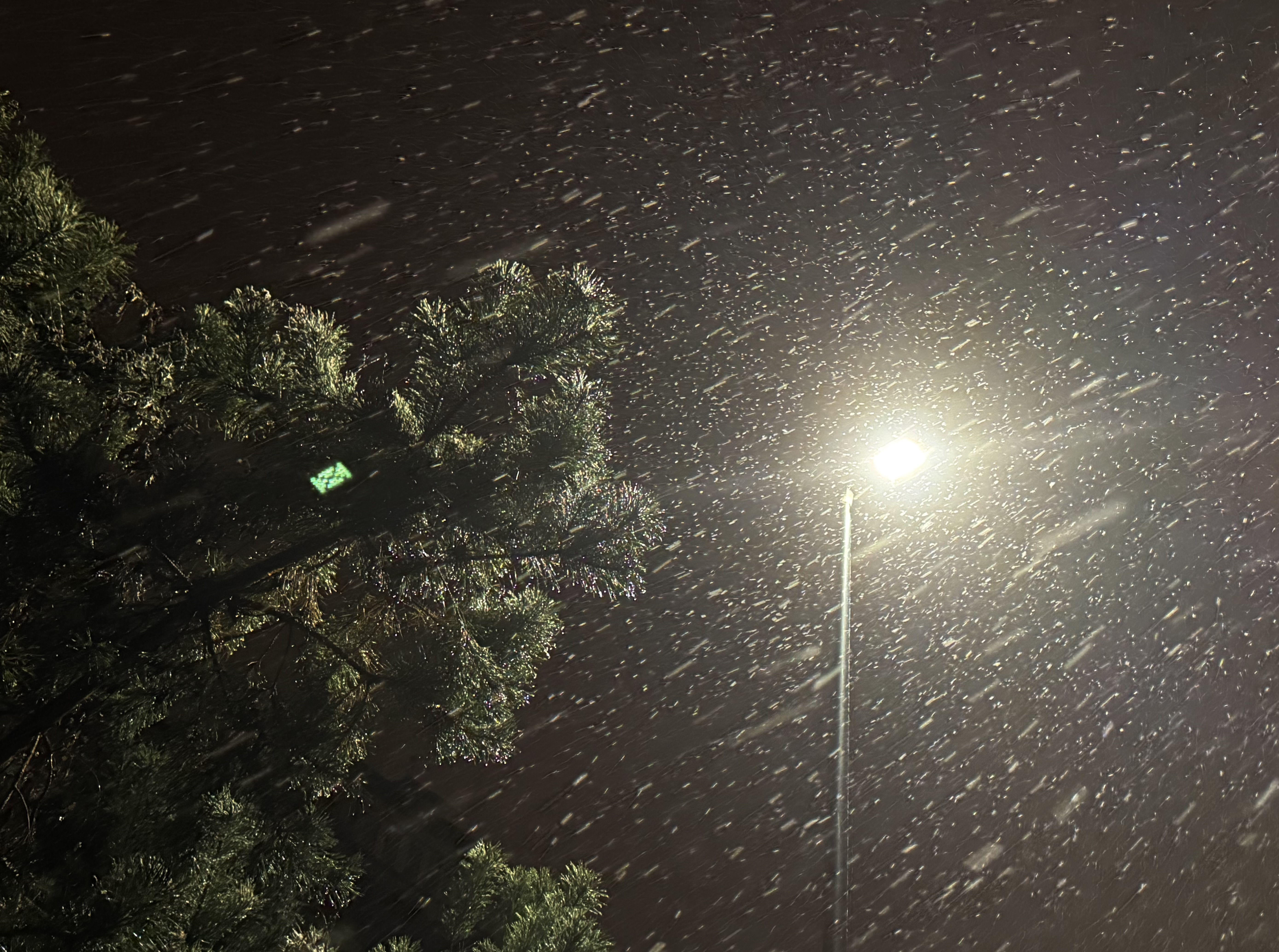 Pierwszy śnieg w Lublinie