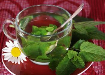 EAttachments908114629e572946ecbd145f4db7ef7f3d83a3a xl