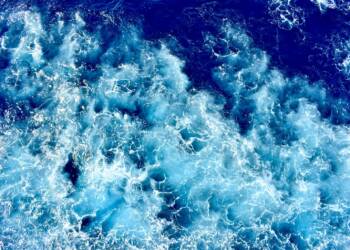 19.11.2025 Agnieszka Czyżewska-Jacquemet "Ciągle płyną" 5 EAttachments9082714c1181ba557615ebba9c9971901368b29 xl