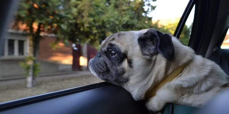 EAttachments908332181caad9a08238fa562e3586052da5945 xl