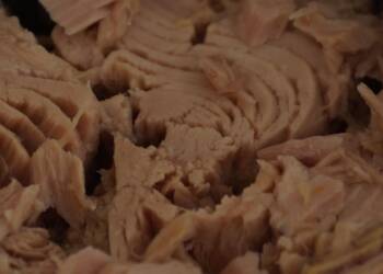 EAttachments9085648a510d2333c0e4a36e35e5011348d1808 xl