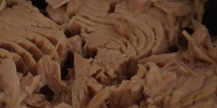 EAttachments9085648a510d2333c0e4a36e35e5011348d1808 xl