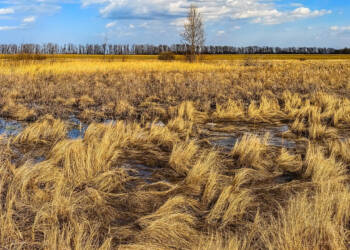 EAttachments9087071ceb1df1632f3652e7a916e77d6a451c0 xl