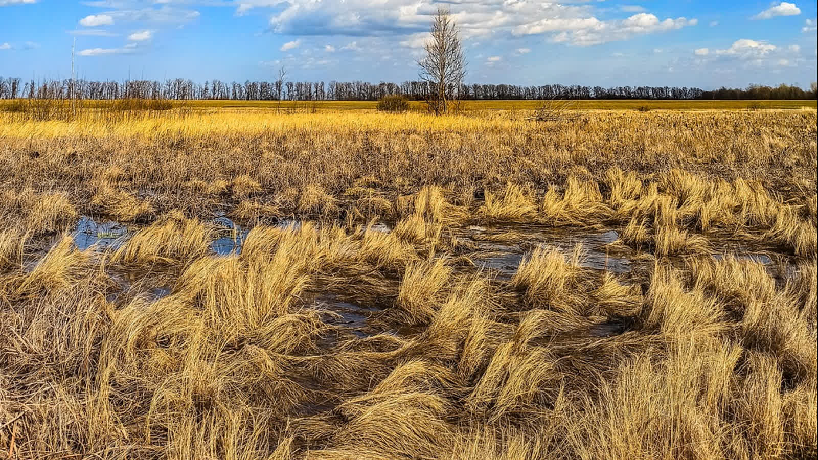 „Szczególne wartości”. Lubelskie ma kolejny rezerwat przyrody