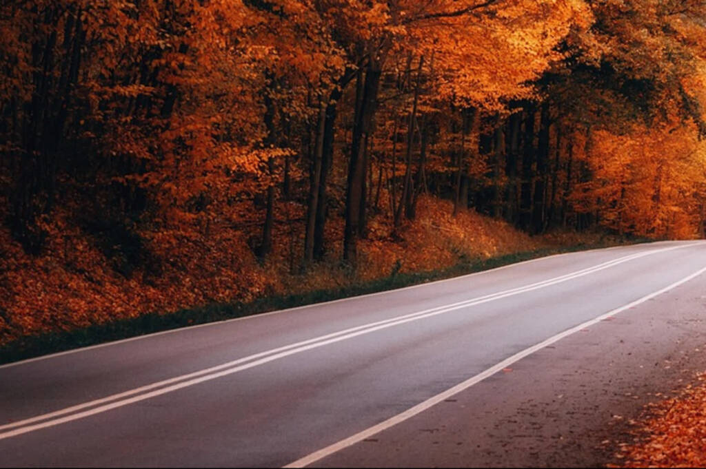 EAttachments9087705ca7c3a607eef42bc1436890b02ed5a16 xl