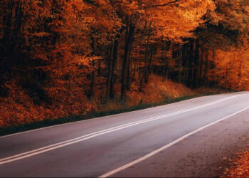 EAttachments9087705ca7c3a607eef42bc1436890b02ed5a16 xl