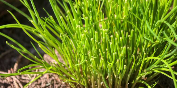 EAttachments9088173390bc2702fba3bce0a6f1aebbca5feac xl