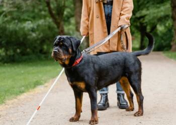 EAttachments9088189aa47ba2d6d1da075fa24f0332864e11a xl