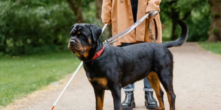 EAttachments9088189aa47ba2d6d1da075fa24f0332864e11a xl