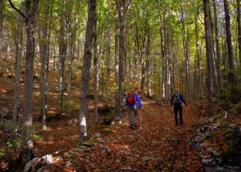 EAttachments9088217c2c69f715a59c47d48d742bf19080fce xl