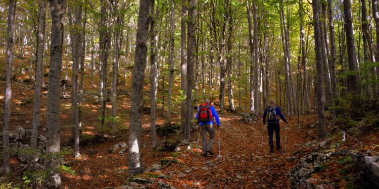 EAttachments9088217c2c69f715a59c47d48d742bf19080fce xl