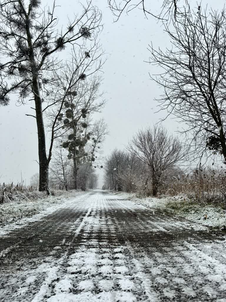 Biało, ale przejezdnie. Policja apeluje o bezpieczną jazdę