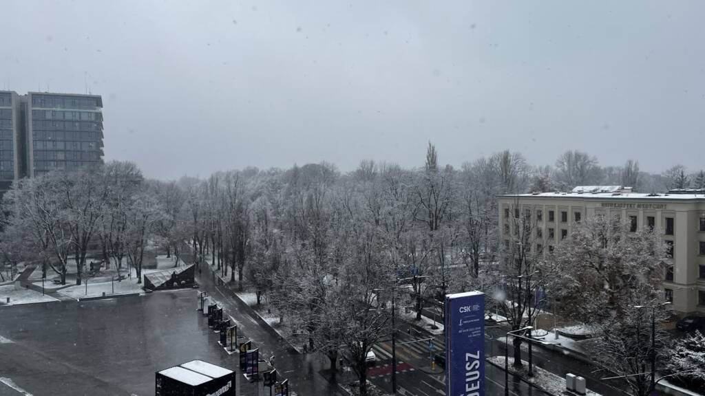 EAttachments9088955c13822285154103dafbc813f3ef6d513 xl