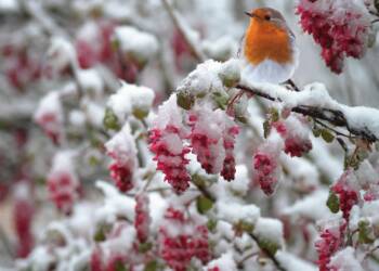 EAttachments9089422dfd26ec2300d8761a23ba1198e968104 xl