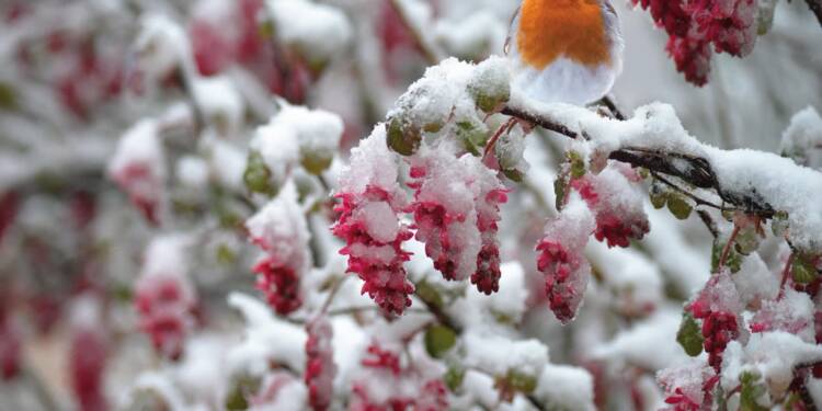 EAttachments9089422dfd26ec2300d8761a23ba1198e968104 xl