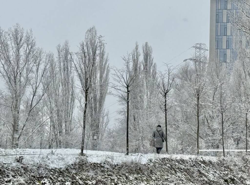 EAttachments9089646f84e035089055cbbeb4ee3e74dbb5a31 xl