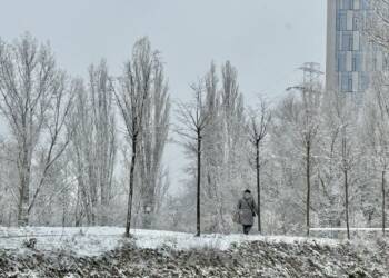 EAttachments9089646f84e035089055cbbeb4ee3e74dbb5a31 xl