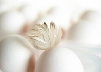 EAttachments909063900b45fa704e25d34dcbd792953b918fb xl