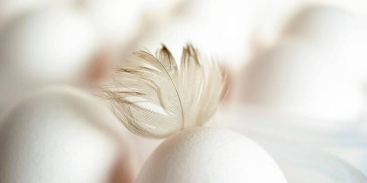 EAttachments909063900b45fa704e25d34dcbd792953b918fb xl