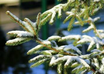 Lubelszczyzna pod śniegiem. Prognoza pogody na 22 i 23 listopada 9 EAttachments9090667a68f33f63f5998eb54ee2908cf675056 xl