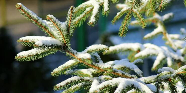 EAttachments9090667a68f33f63f5998eb54ee2908cf675056 xl