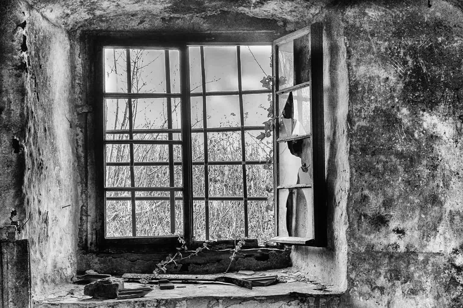 23.11.2025 Magda Grydniewska „Nie znaliśmy tej historii – Markuszów”