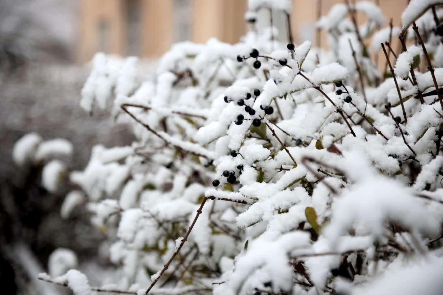 Nadciągają intensywne opady śniegu. Synoptycy ostrzegają