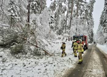 EAttachments9091345db62b8d647b6faa833d76206ece31a20 xl