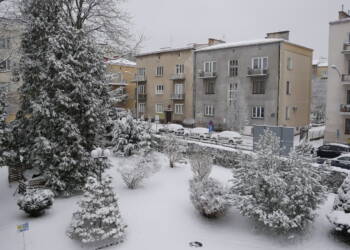 Lubelszczyzna jak z pocztówki. Spadło nawet 6 cm świeżego śniegu 8 EAttachments9092203523b0a796e7eb43b7c663205eb26089d xl