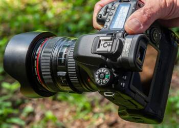 24.11.2025 Monika Malec "Szukając piękna" 2 EAttachments9092451150e69b8bf58bf10bfd208e0bc40073d xl