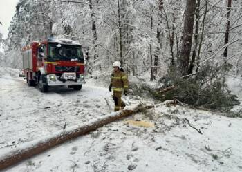 EAttachments909264099209991bdf42e8c4f07d8d95272f896 xl