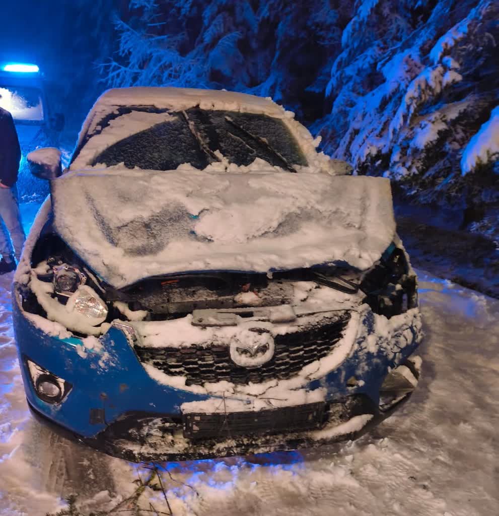 Zima daje się we znaki. Drzewa przewróciły się na samochody w Lubelskiem