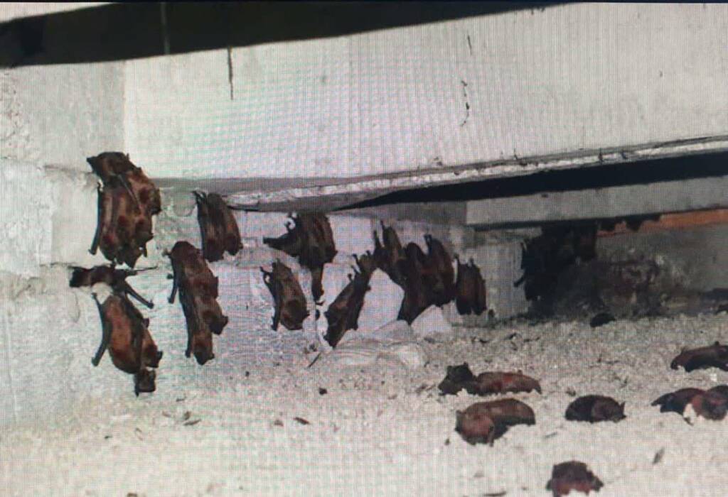 EAttachments9094388d9c0df13575bf7a26d1c5e920c023b5d xl