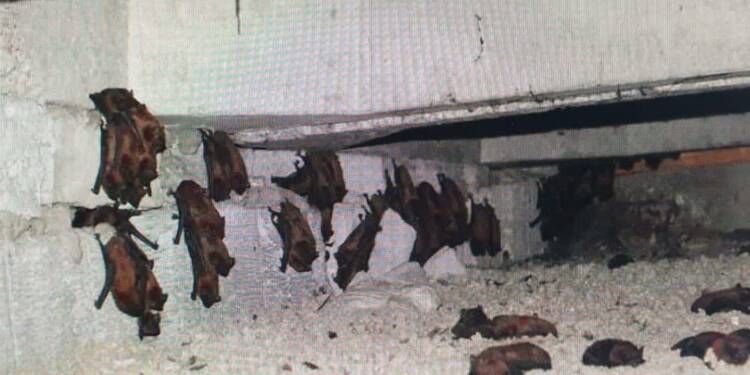 EAttachments9094388d9c0df13575bf7a26d1c5e920c023b5d xl