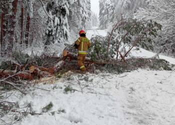 EAttachments9094439b5ab5e4a6d194df8507390462364ead7